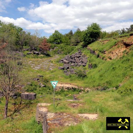 Quaderkalk Stbr. Luetzelbruch bei Lindelbach nahe Wuerzburg, Bayern, (D) - 18. Mai 2023 (15).JPG